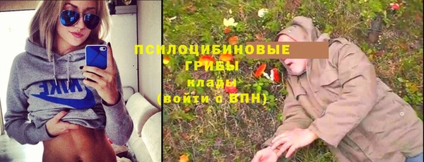 ПСИЛОЦИБИНОВЫЕ ГРИБЫ Абинск