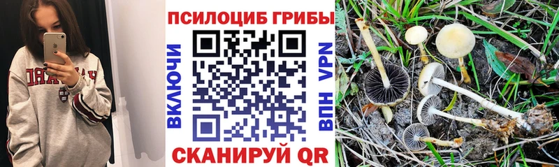 Псилоцибиновые грибы MAGIC MUSHROOMS Усмань